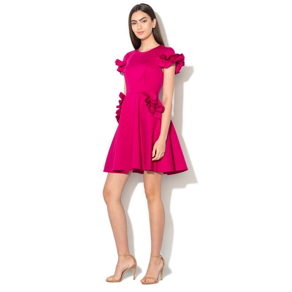 Ted Baker Dress | Ruffle Detail Skater Dress